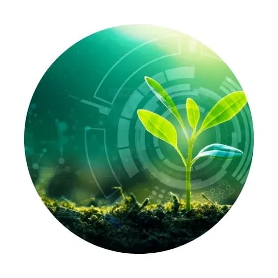 Verkauf auf Vertragsbasis